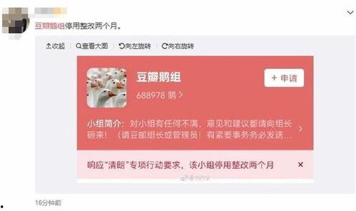 八卦爆料最新网站,揭秘最新网站幕后真相，独家揭秘！